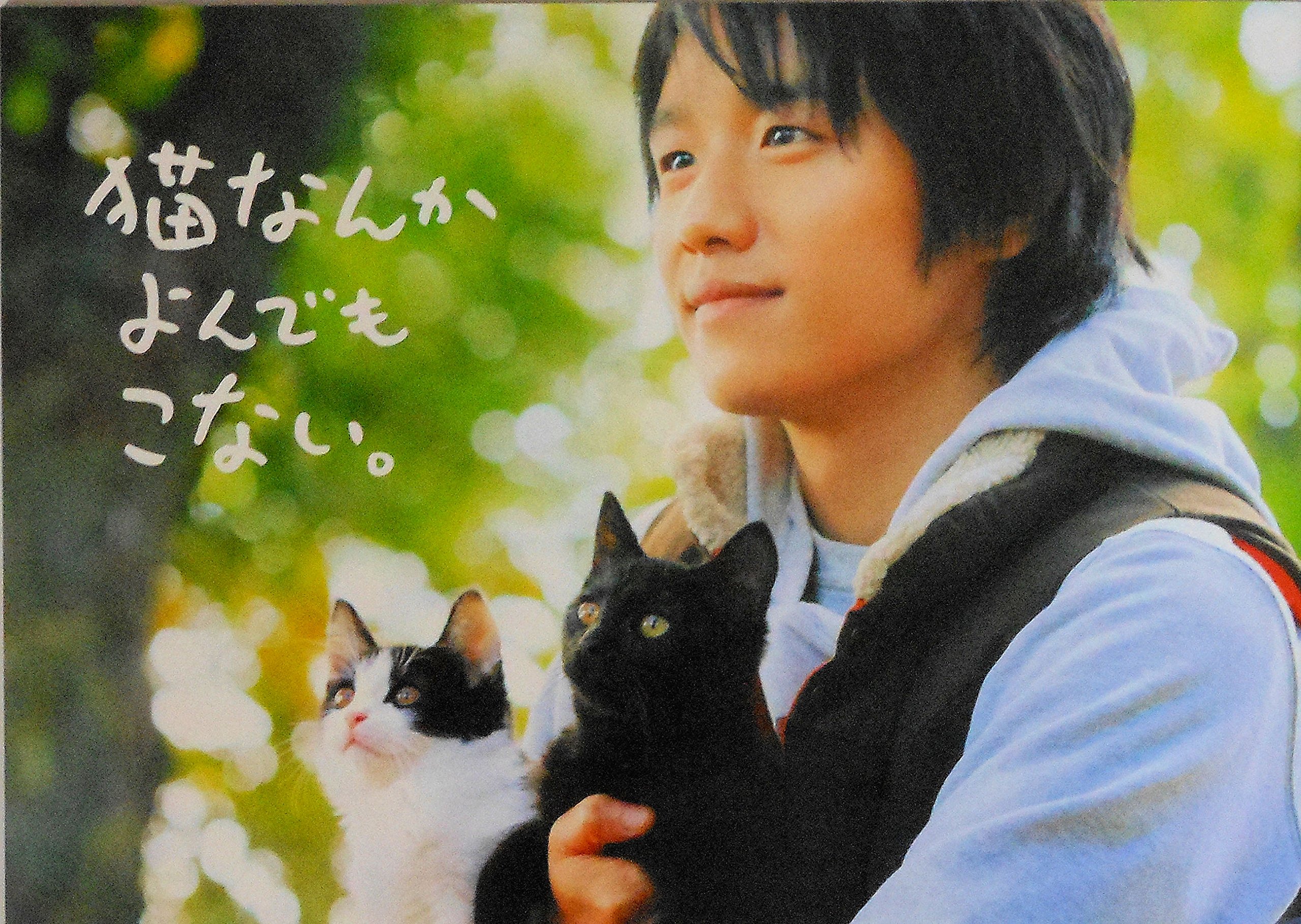 風間俊介「猫なんかよんでもこない」