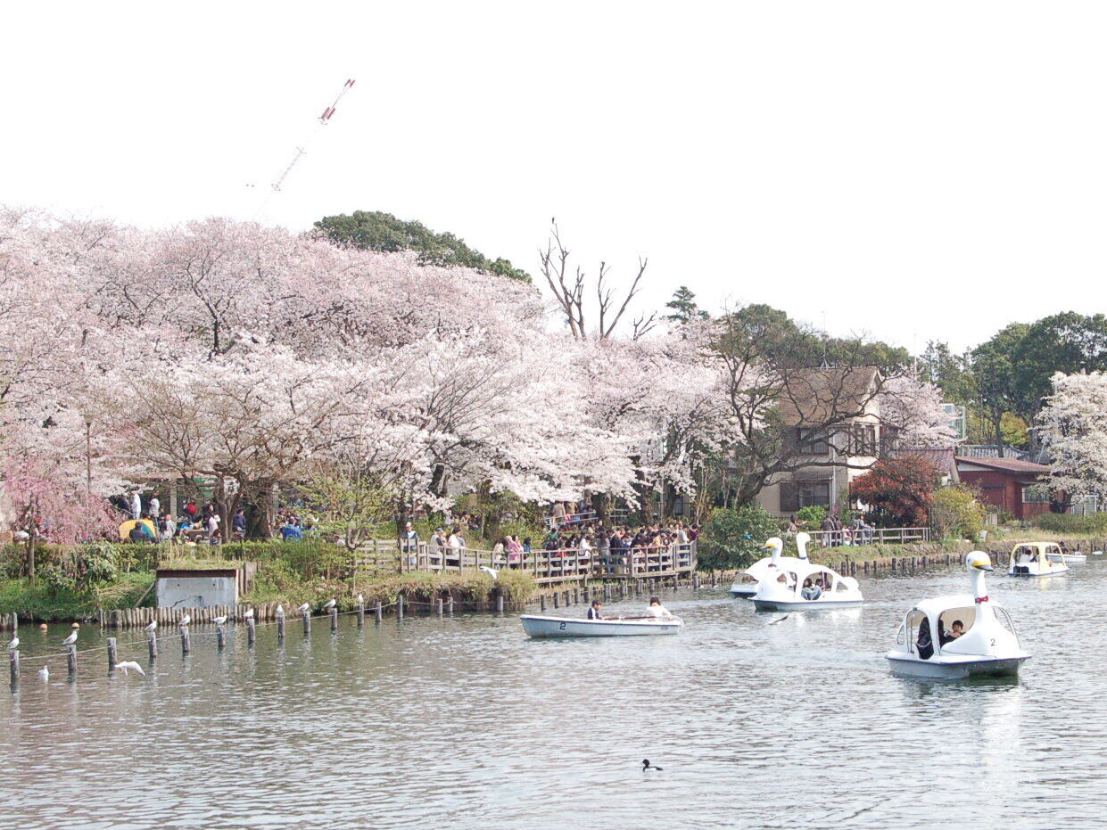 大田区の洗足池公園