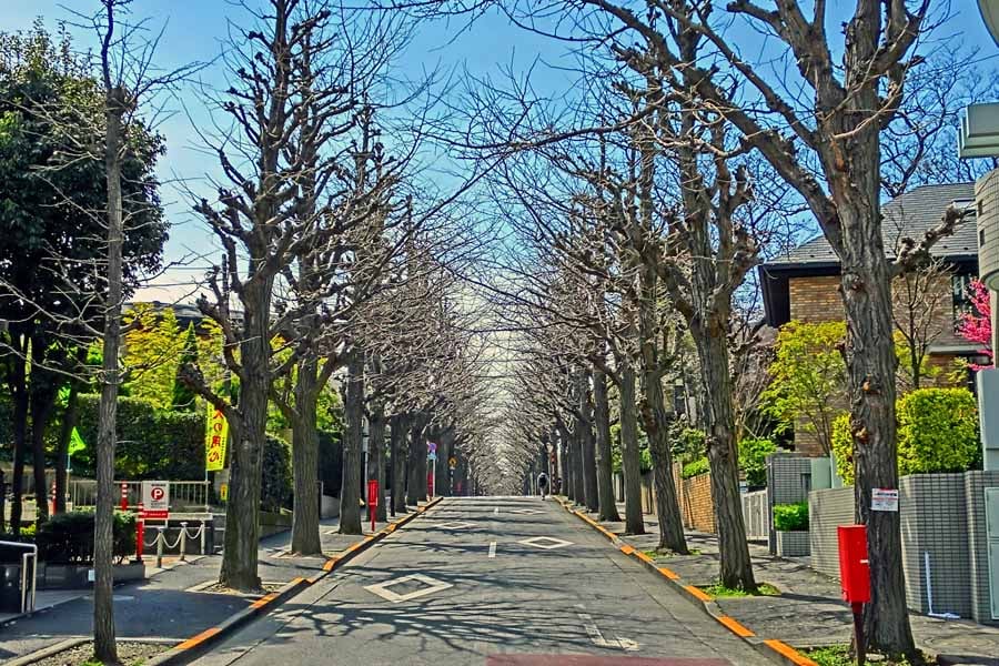 田園調布の高級住宅街